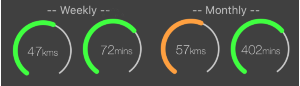 iphone-goal-progress
